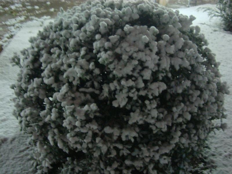 NIEVE - 14 - 12 - 09 012
